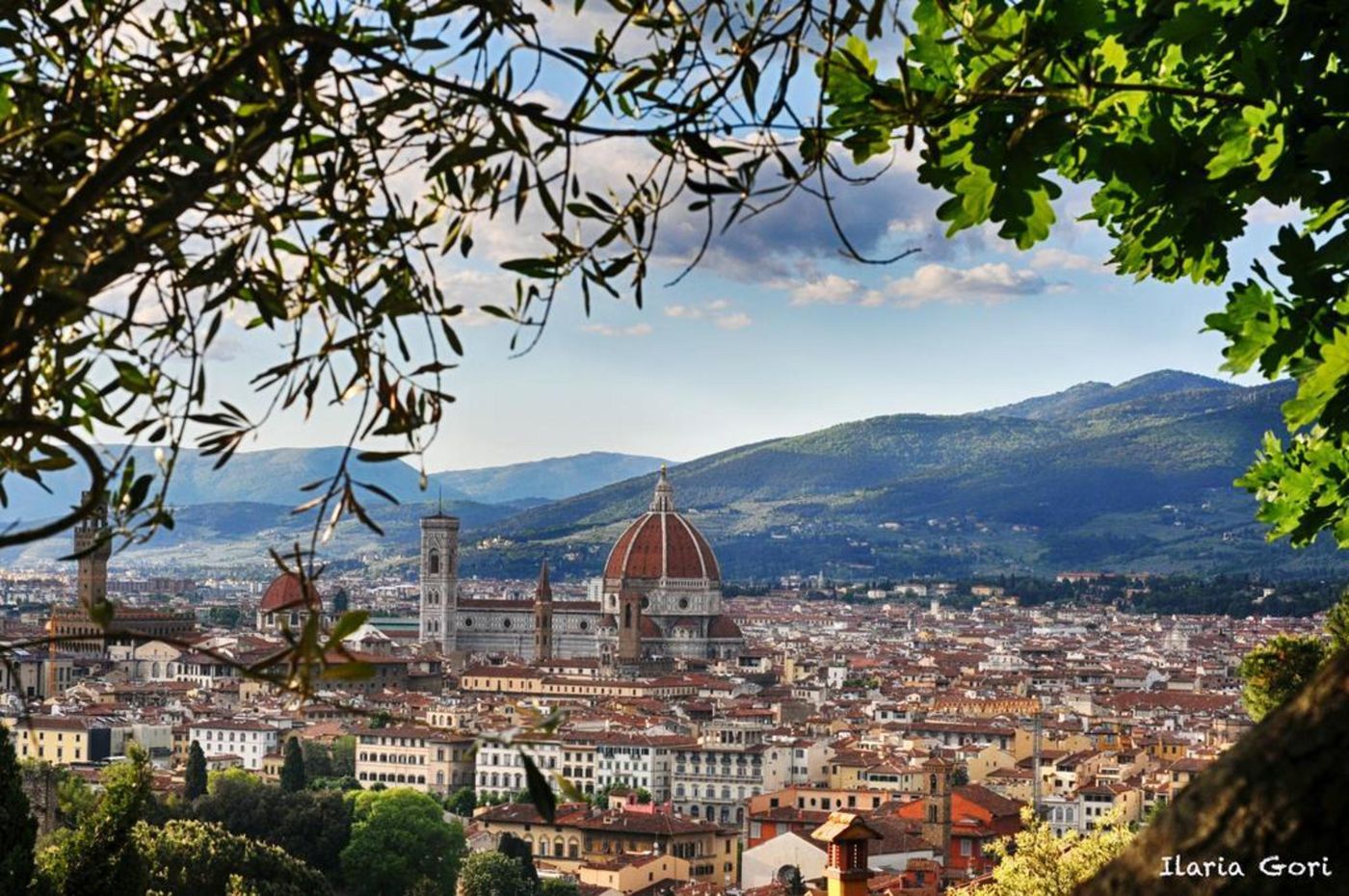 HHB-Hotel---Florencia-General-view-1