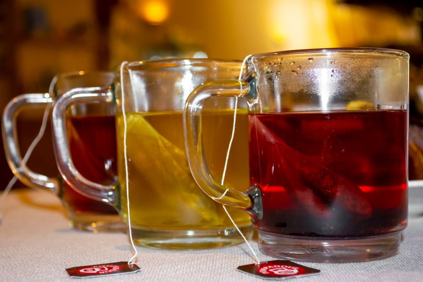 Eco-Hotel-Milano---Bioriso-Restaurant-Restaurant-93