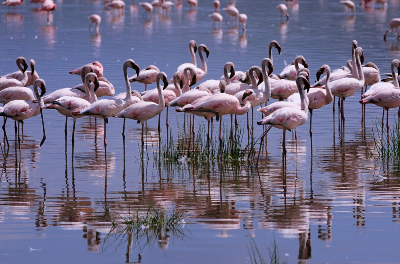 Hotel-Da-Cesare-Maluentu-Beach-36