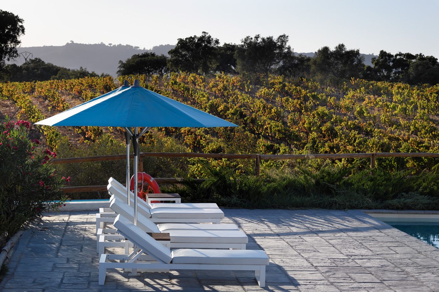 Casa Palmela - Small Luxury Hotels & Villas-Portugal-SETUBAL-Pool-8