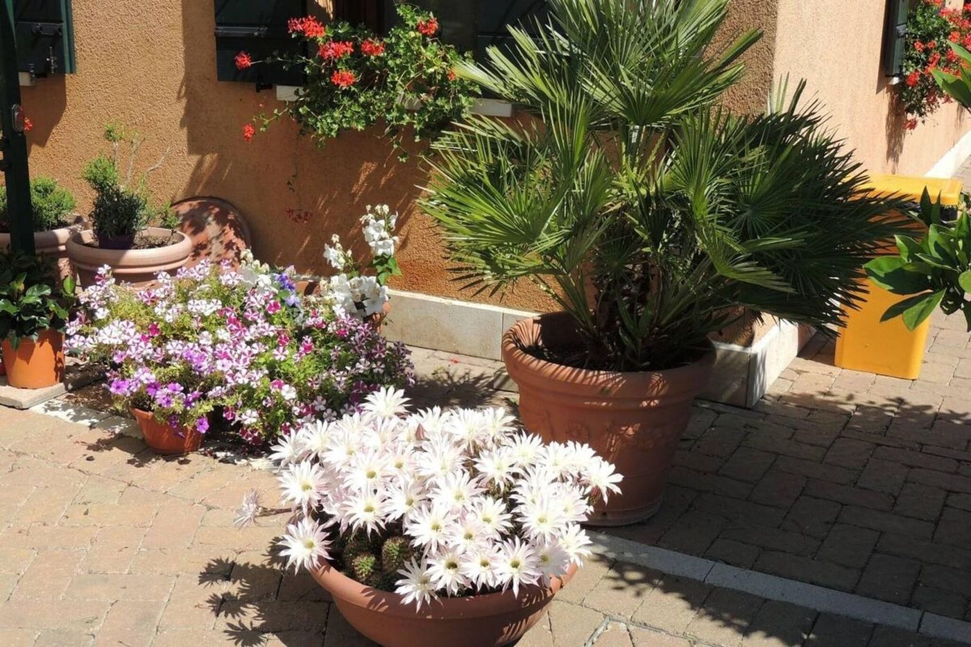 Country-House-Country-Club-Terrace-1