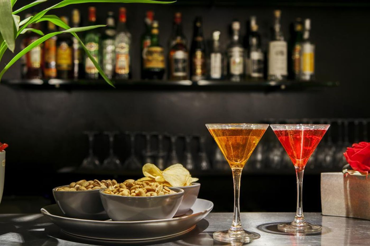 Hambros-il-Parco-in-Villa-Banchieri-General-view-18