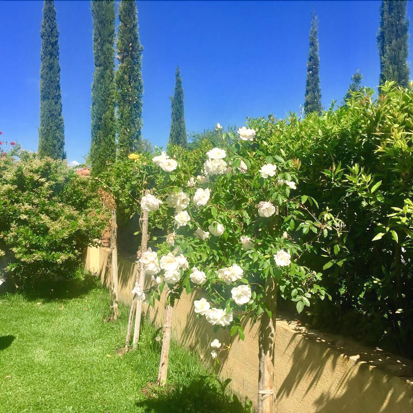 B-B-Monte-Di-Bu-General-view-21