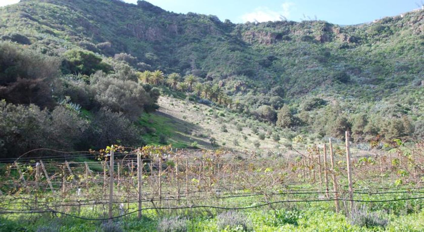 Hotel Rural El Mondalon