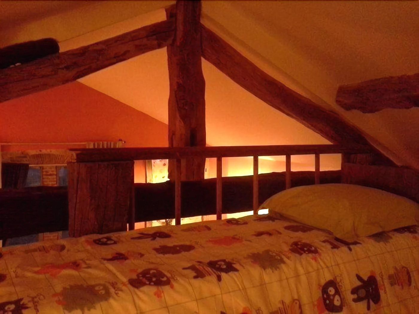 Chambre d'hôtes du Palais - France - MEXIMIEUX - Room - 9