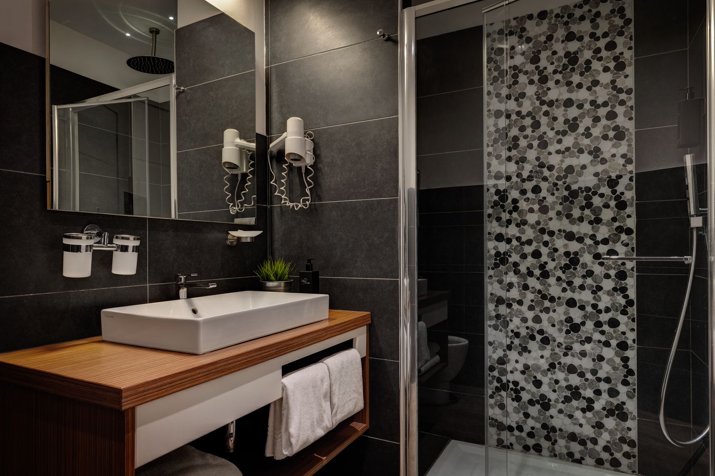 Rinascimento-General-view-36