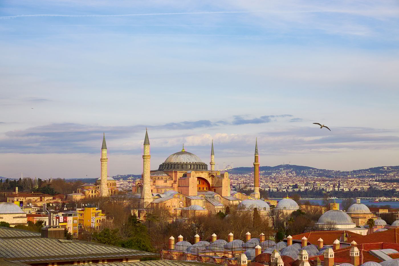 Lady-Diana-Terrace-1