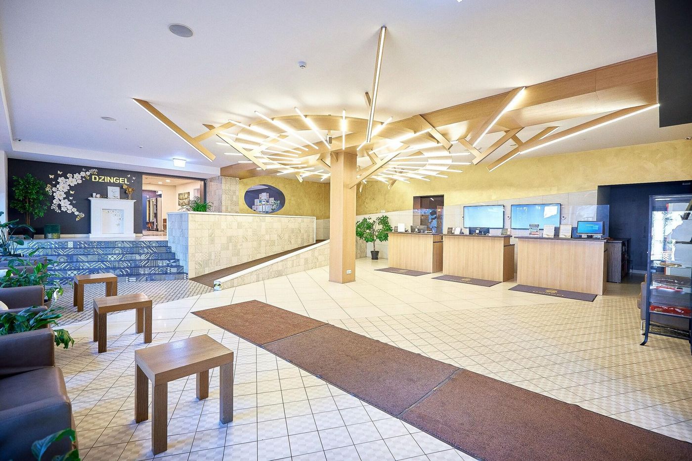 Dzingel-General-view-15