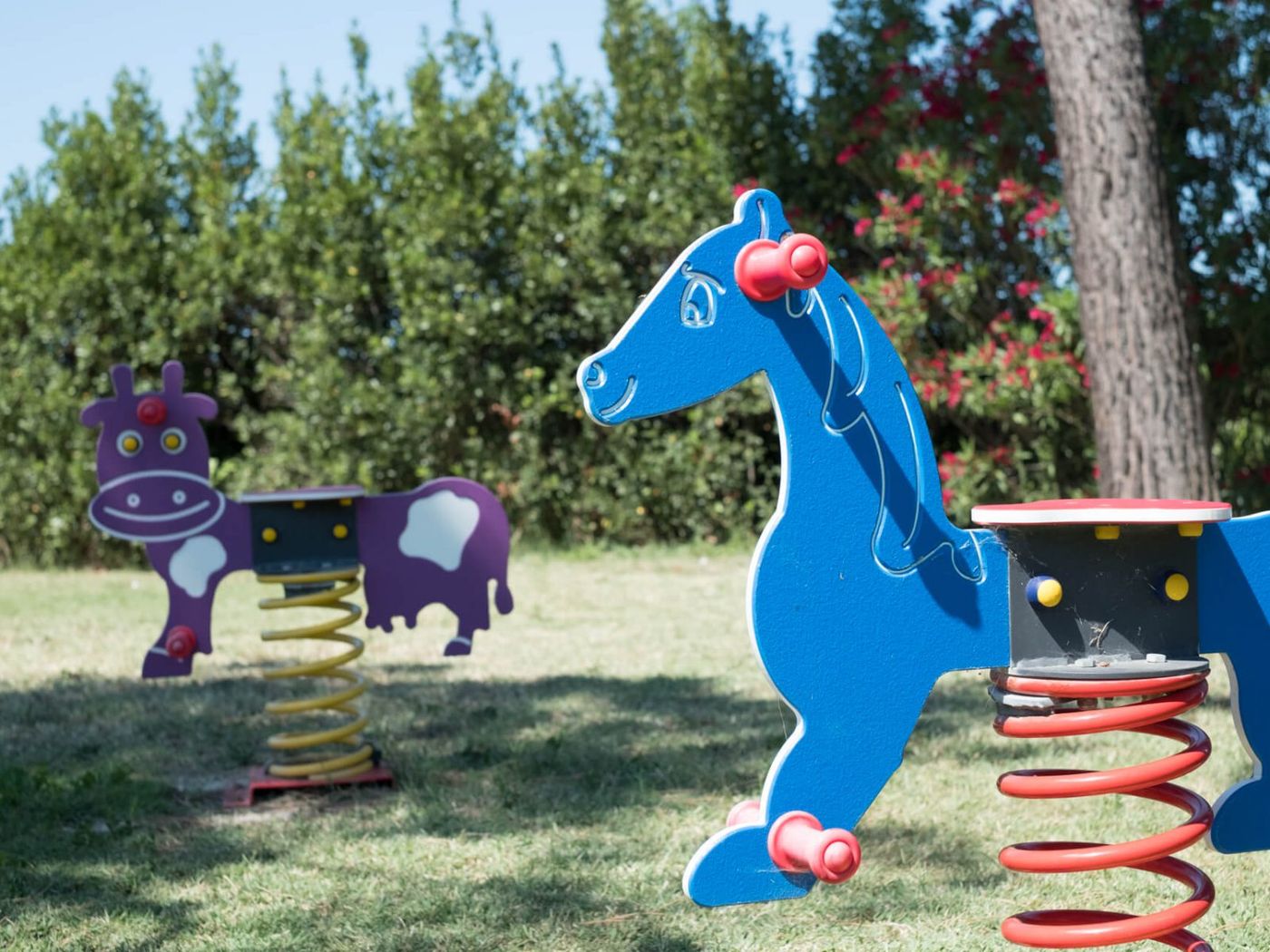 Fattoria-San-Lorenzo-Sports-and-Entertainment-56