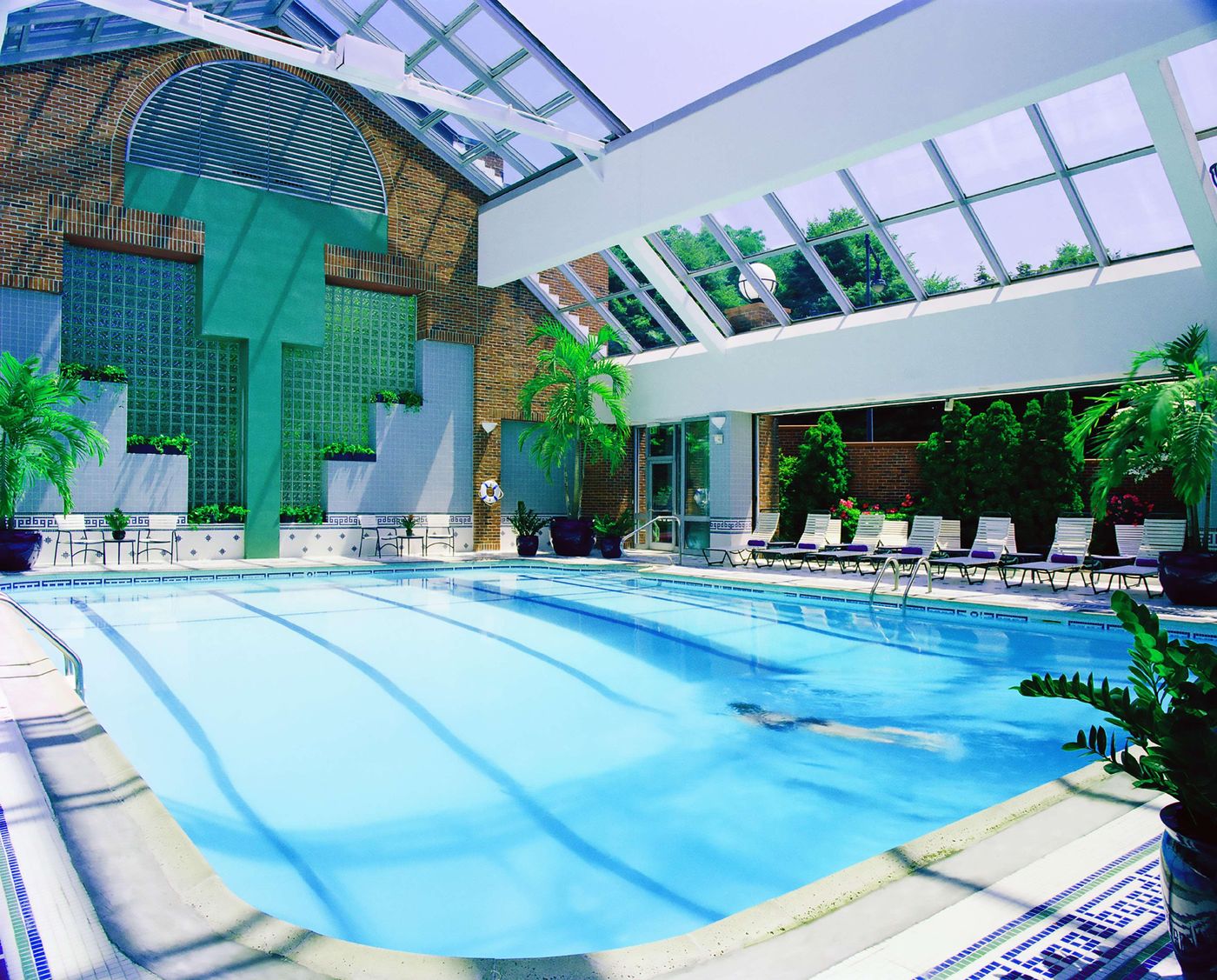 The-Royal-Sonesta-Boston-Pool-62