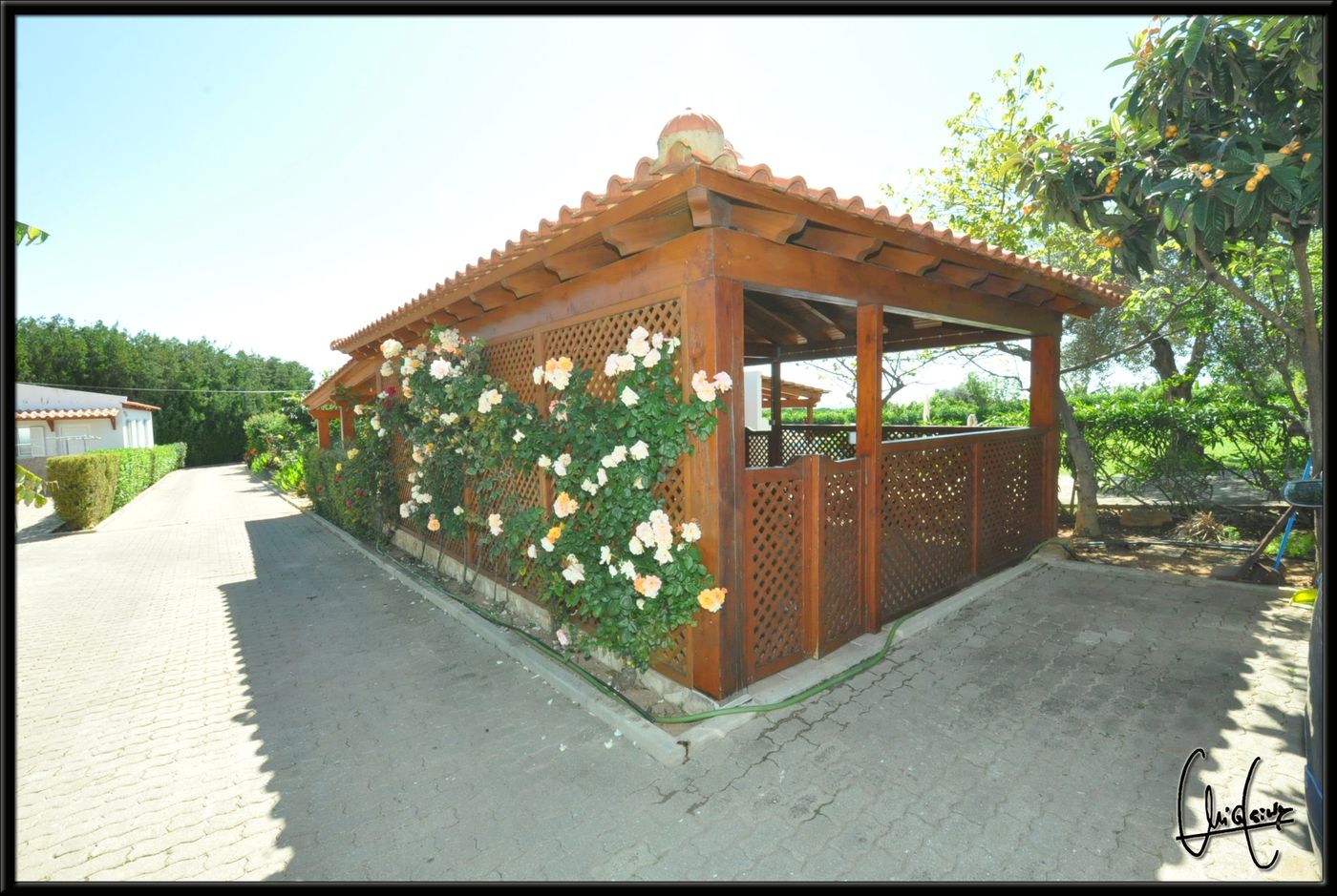 Flor-Da-Laranja-Bar-23