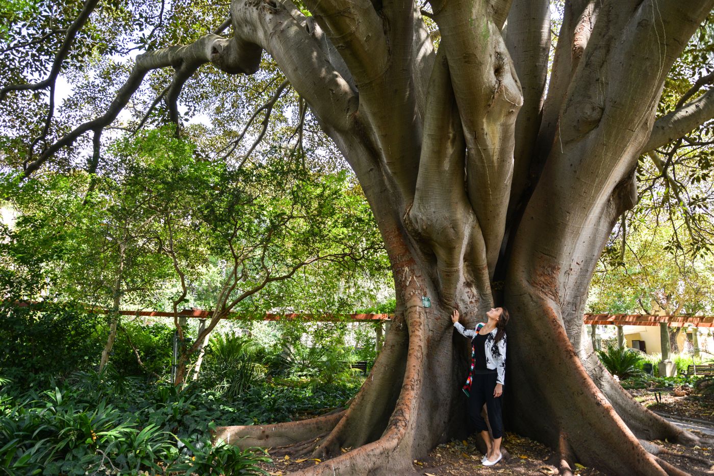 Cape-Cadogan-Sports-and-Entertainment-26