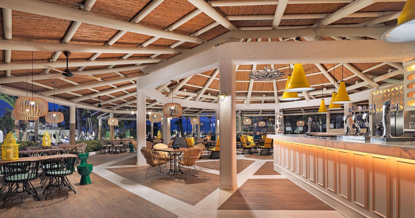 H10-Las-Palmeras-Bar-41