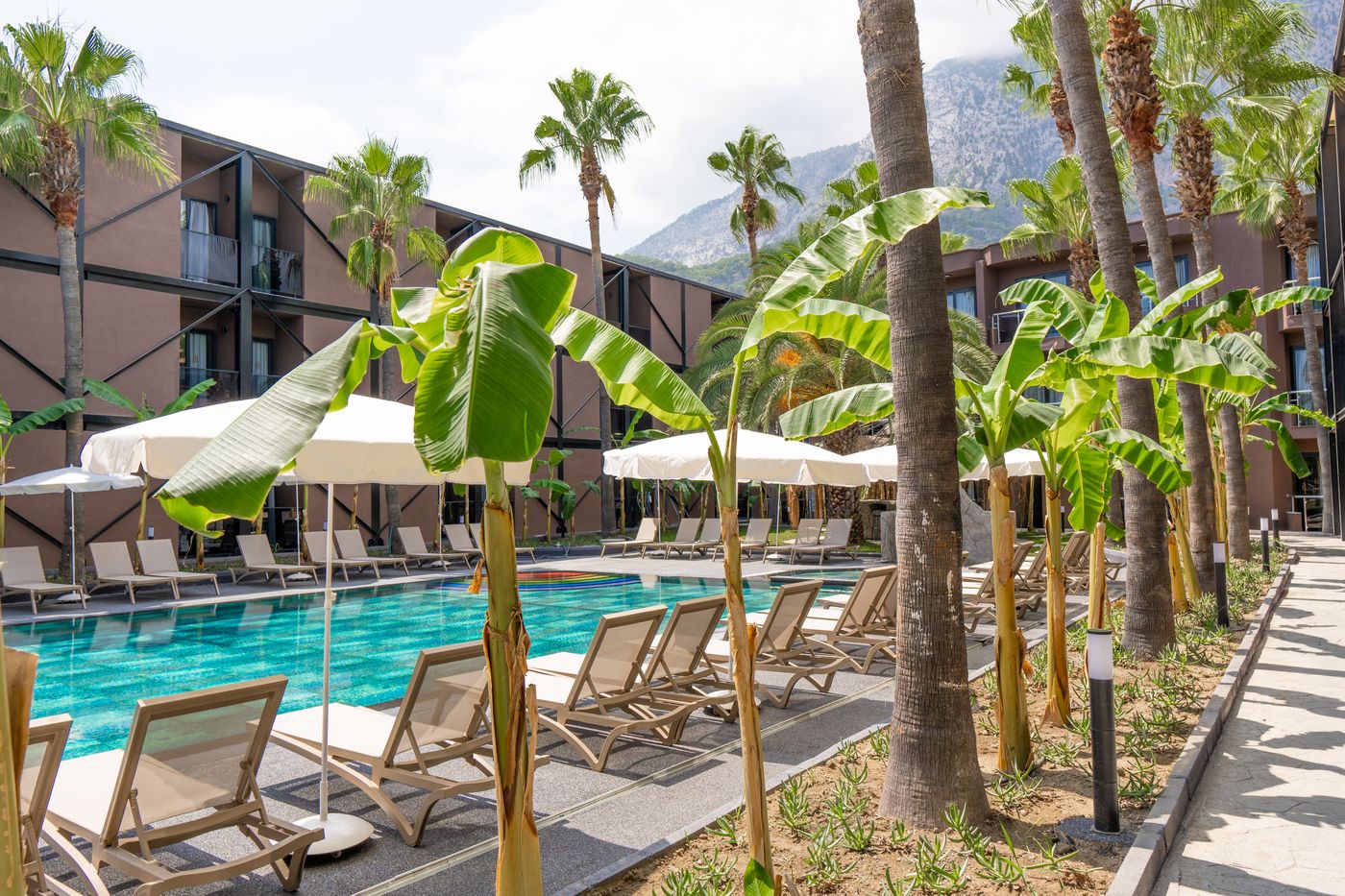 Golden Sun Mesolithic