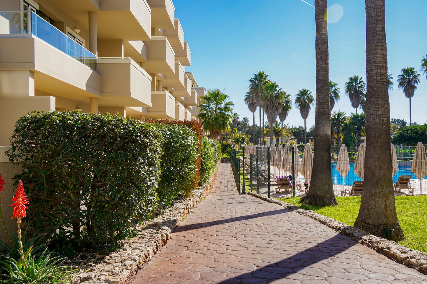 Vitor-s-Plaza-General-view-11