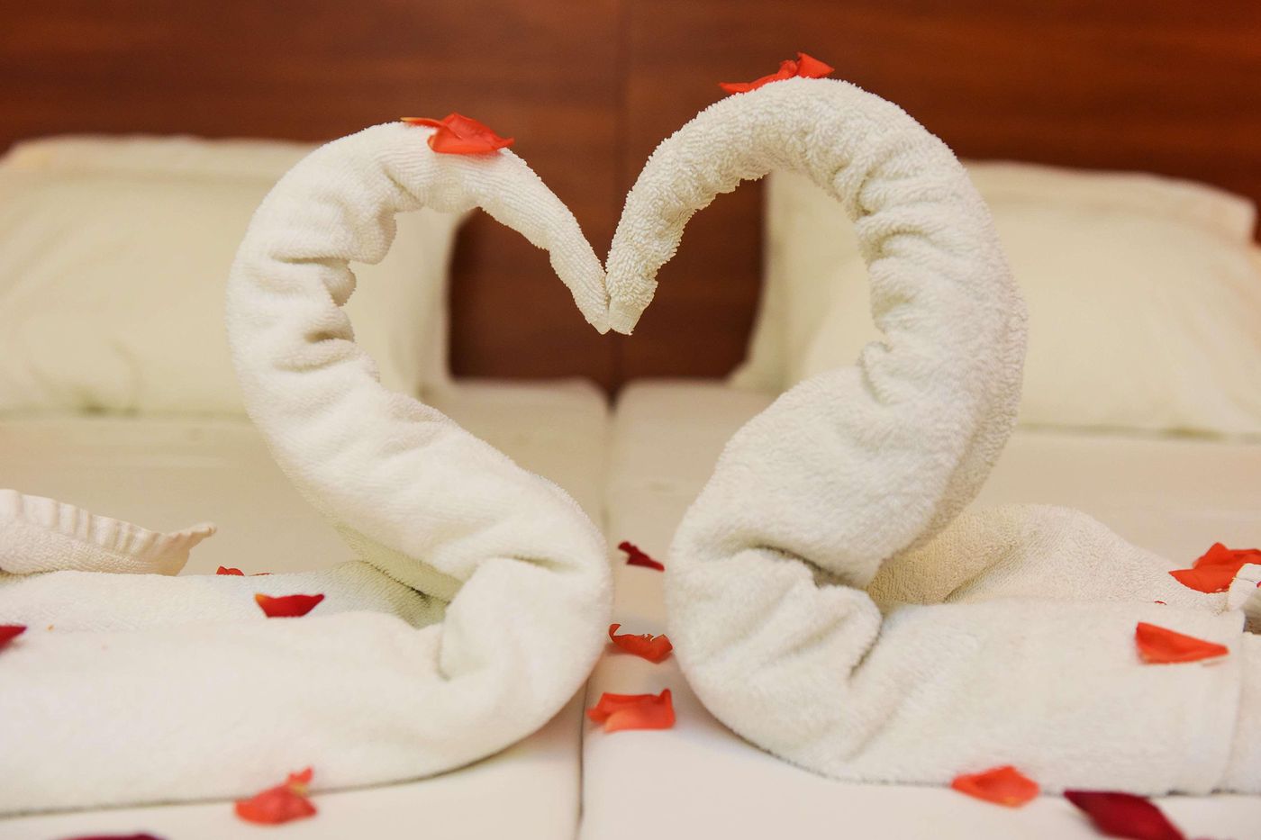 Esmeralda-Sports-and-Entertainment-32