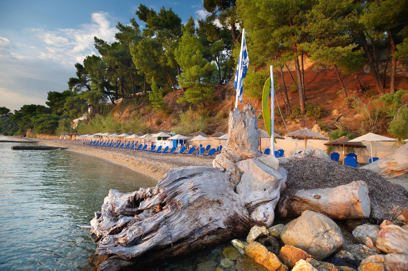 Athena-Pallas--Beach-93