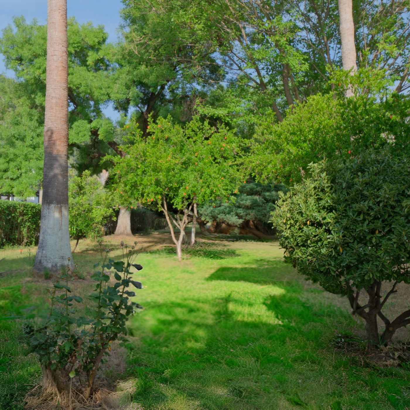 Club-Mel-Holiday-Resort-Room-24