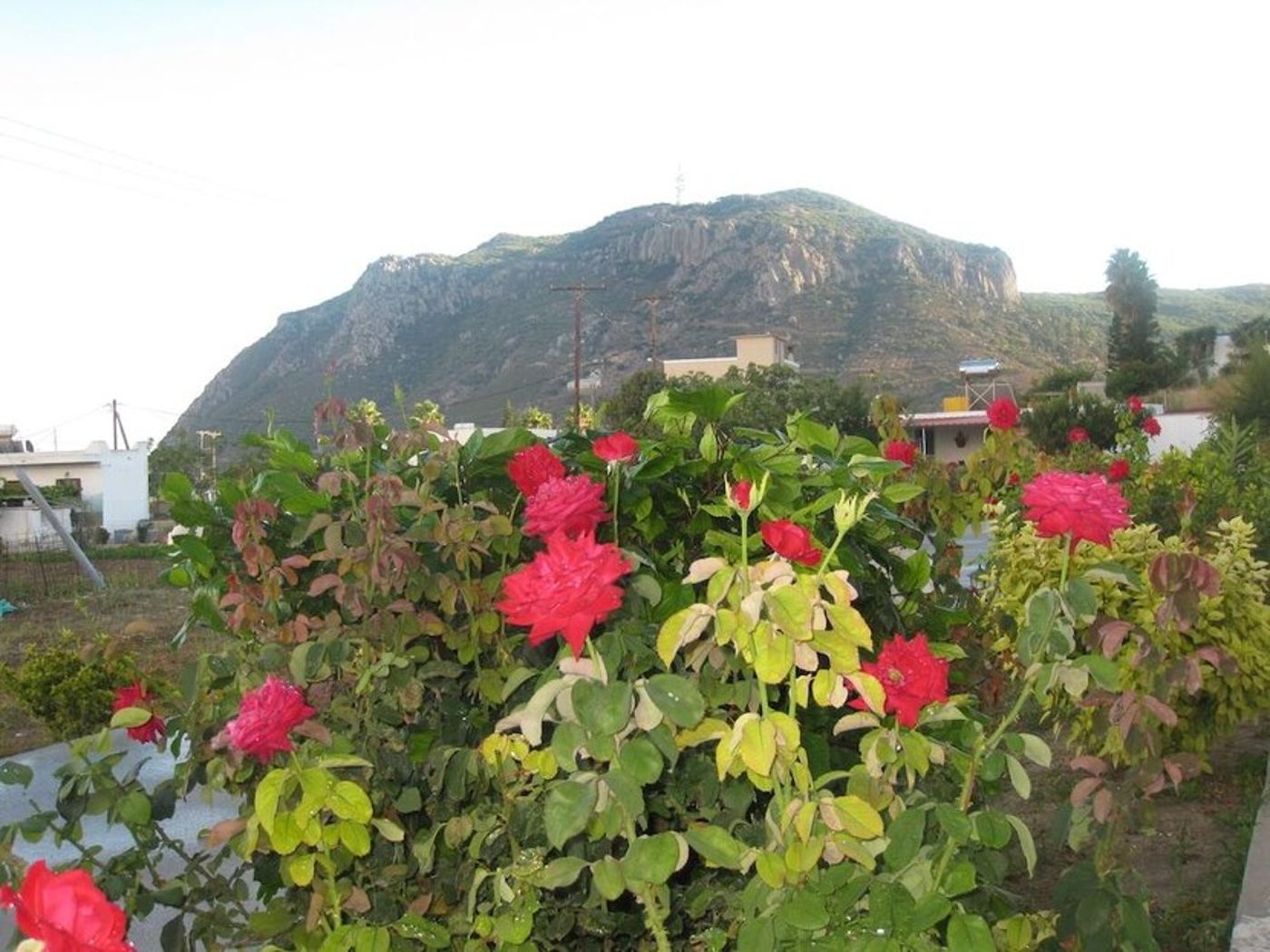 Stenna-Apartments-General-view-13