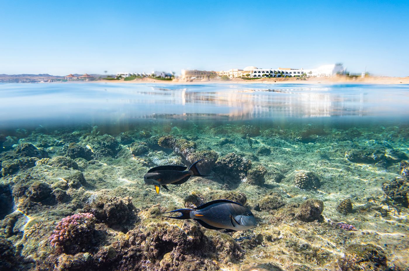 The-Three-Corners-Equinox-Beach-Resort-Beach-55