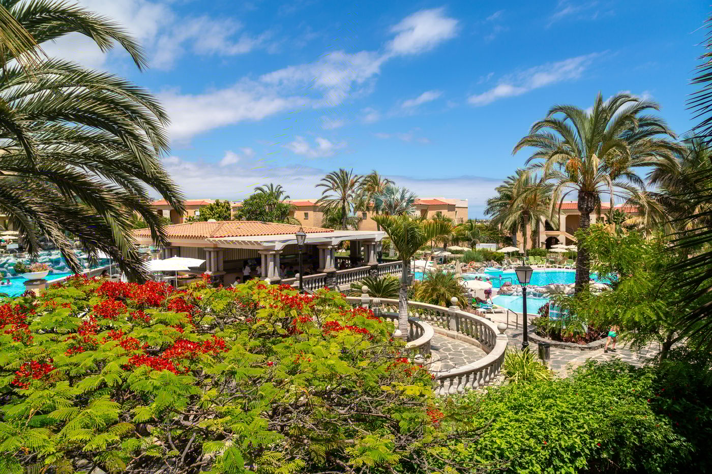 Palm-Oasis-Maspalomas-General-view-22