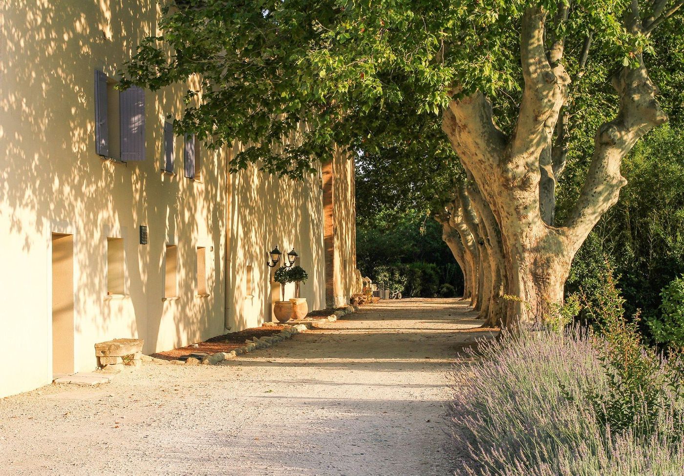 Le Domaine des Carmes & Spa-France-LE THOR-General view-6