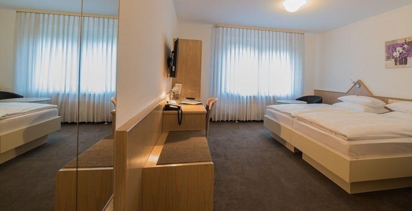 Hotel Am Wasen-Germany-FREIBERG AM NECKAR-Room-3