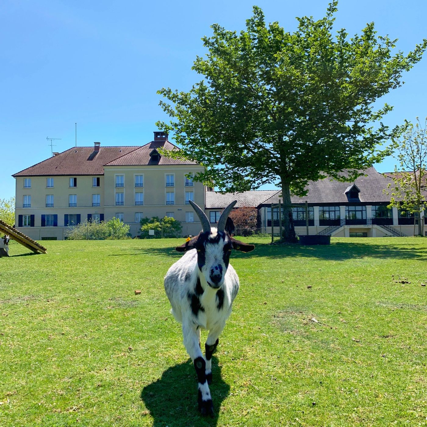 Campanile-Val-de-France-Ex-Kyriad-Disneyland-Sports-and-Entertainment-12