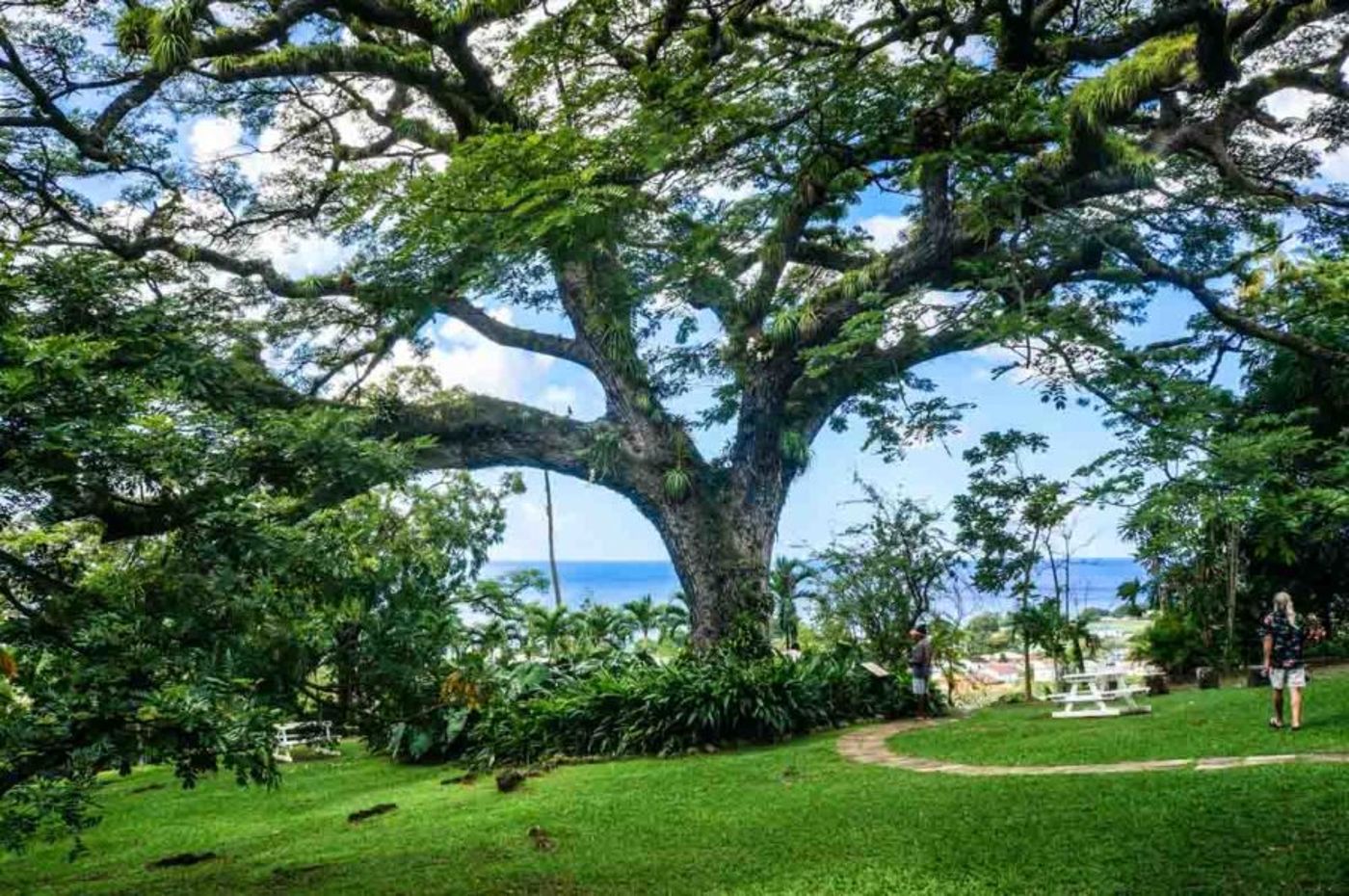 Royal St Kitts Hotel