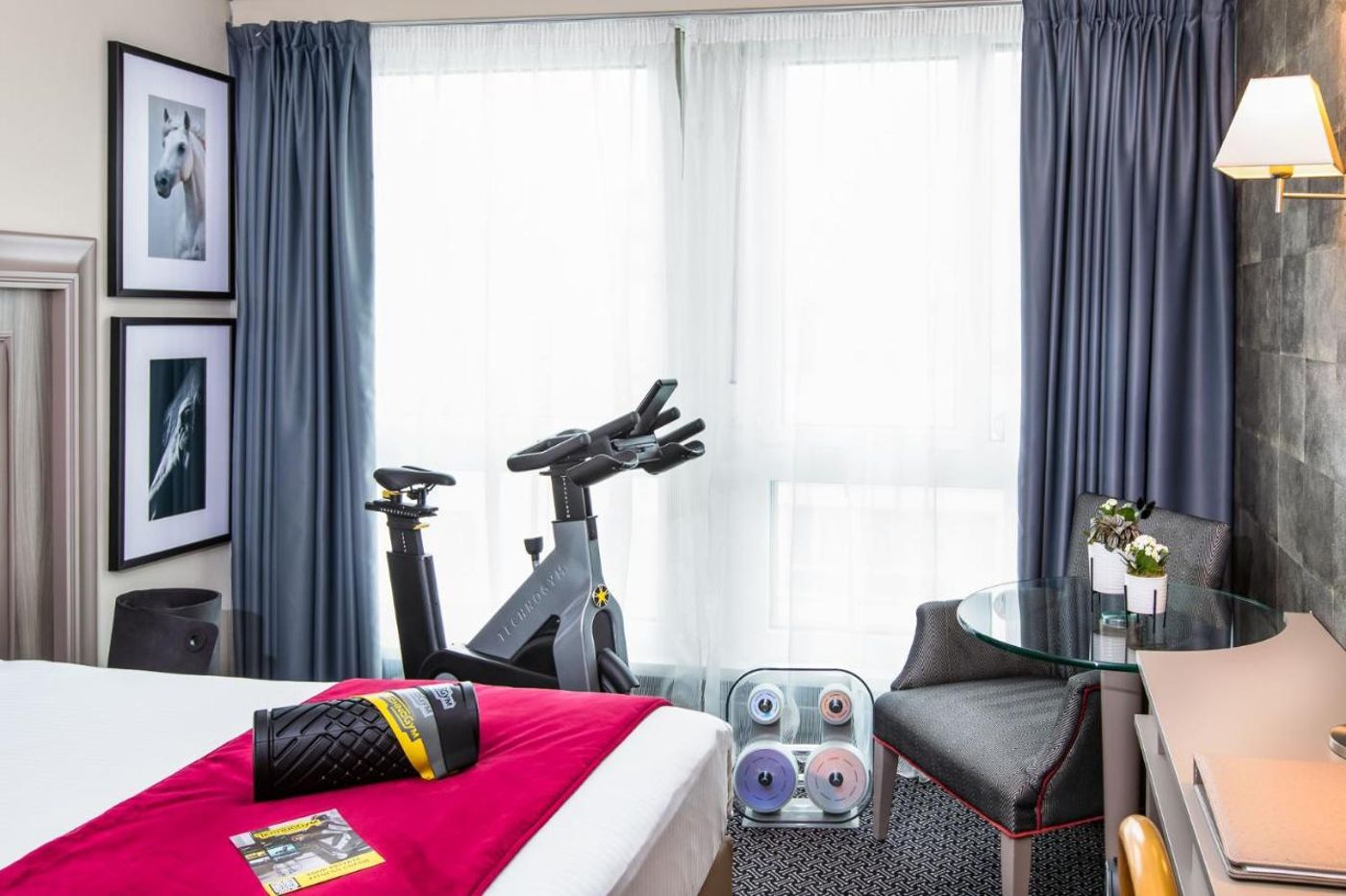 Drake Longchamp - Switzerland - GENEVA - Room - 7