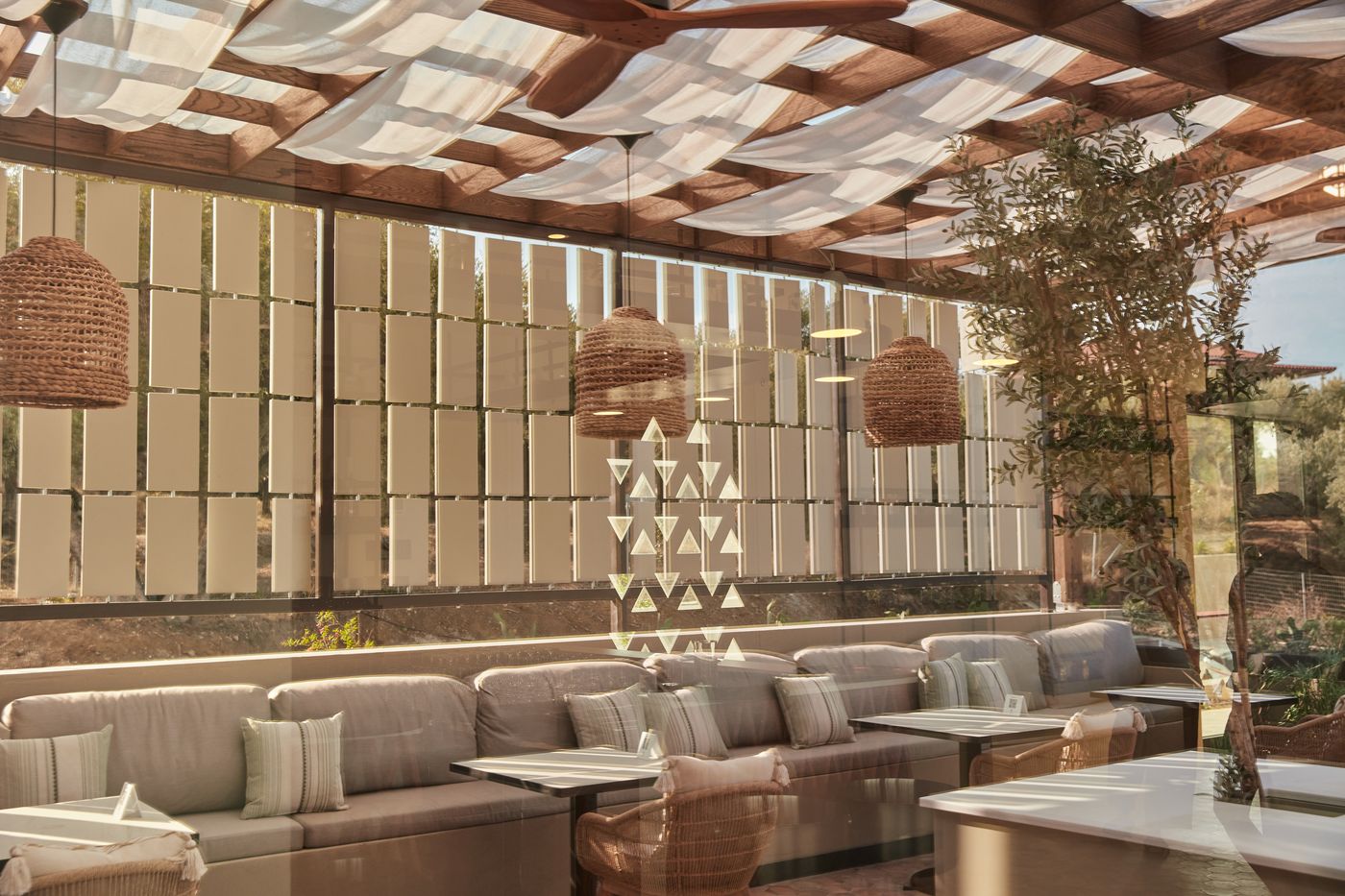 King Jason Zante - Designed For Adults