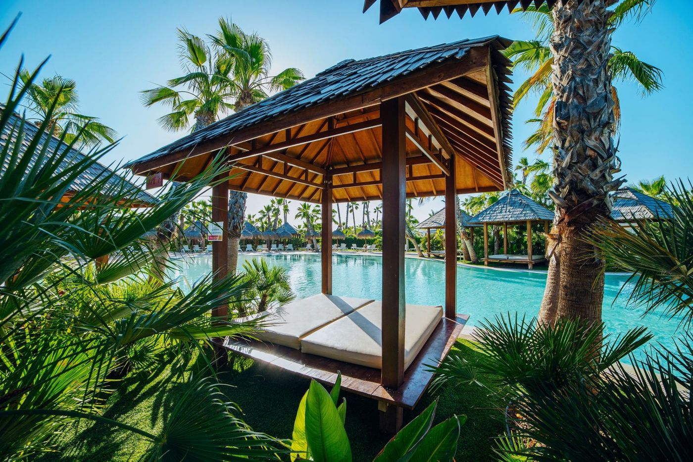 26.02.26 Alannia Costablanca