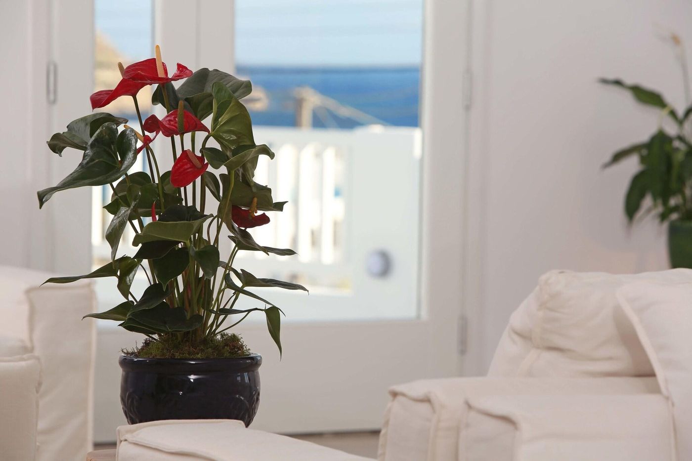 The-George-Hotel-Lobby-52