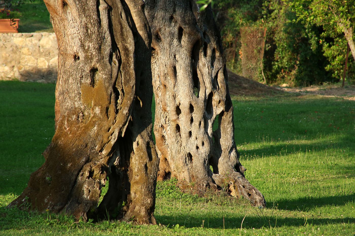 Paradise-Hotel-Corfu-Terrace-19