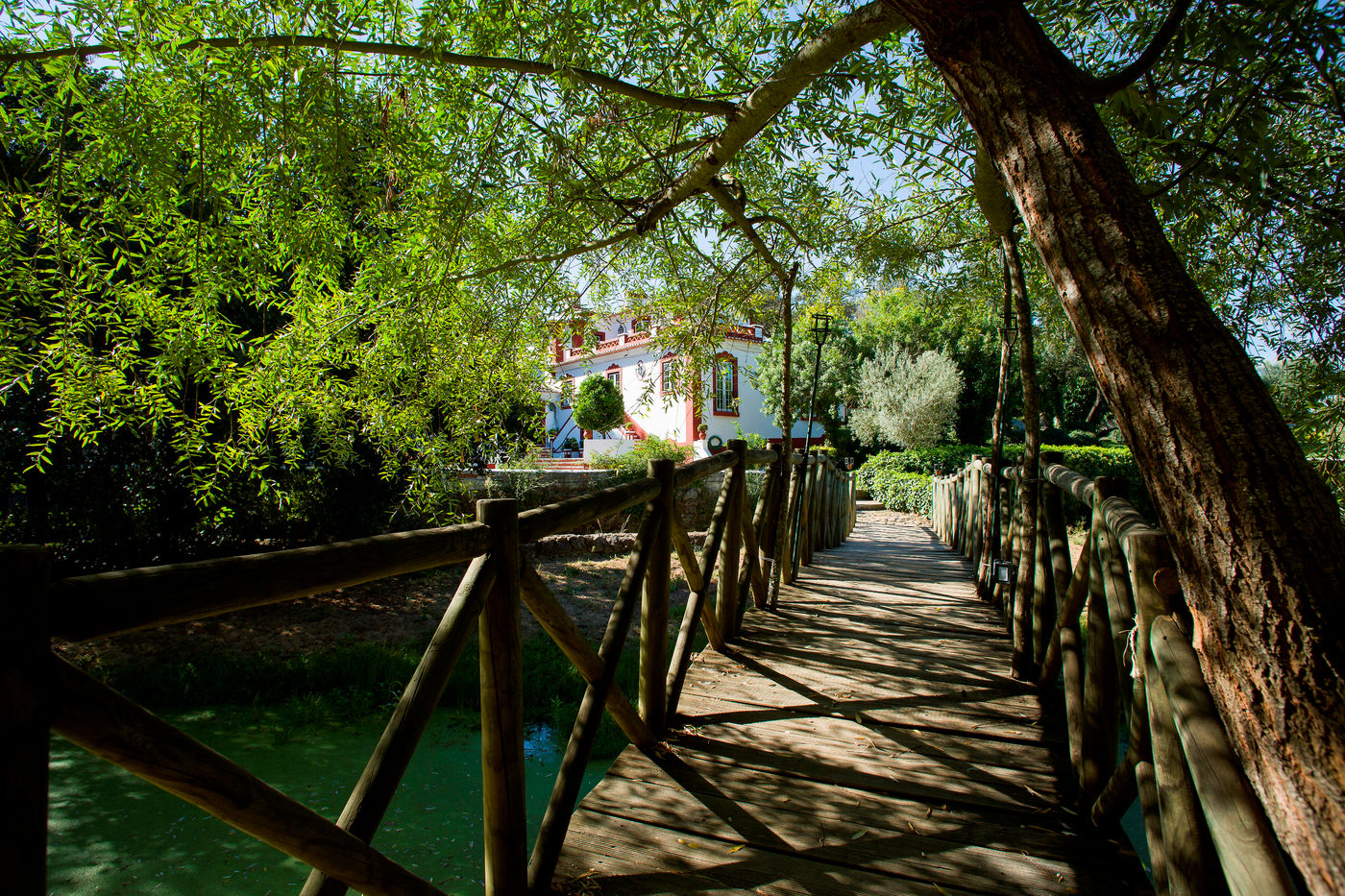 Moinho-Do-Alamo-Sports-and-Entertainment-7