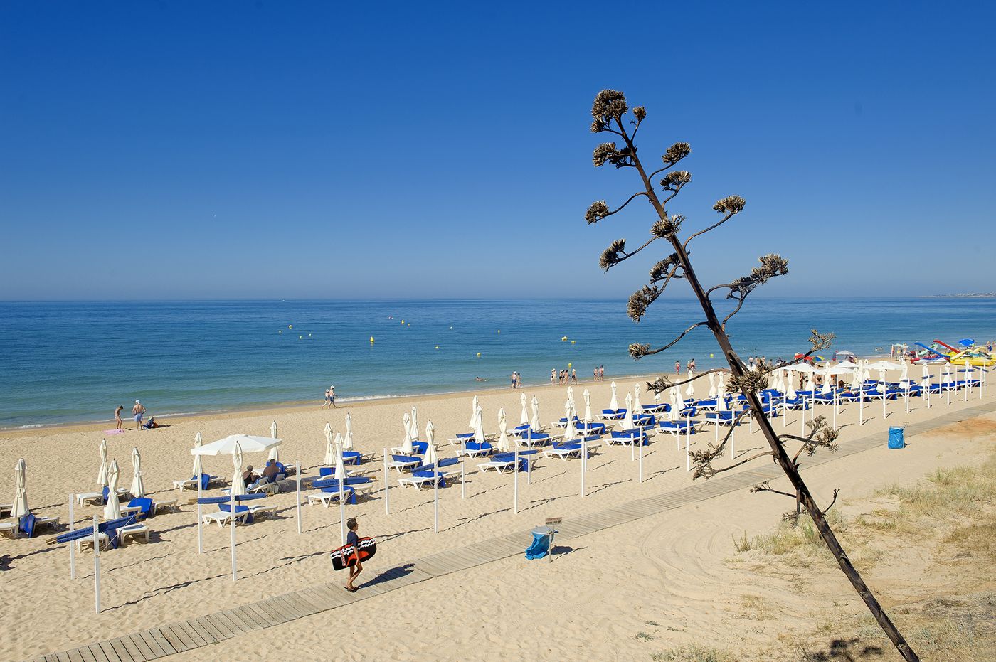 Luna-Miramar-Beach-58