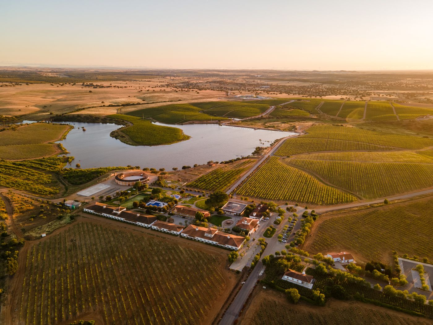 Vila Gale Alentejo Vineyards (Clube de Campo)-Portugal-BEJA-General view-5