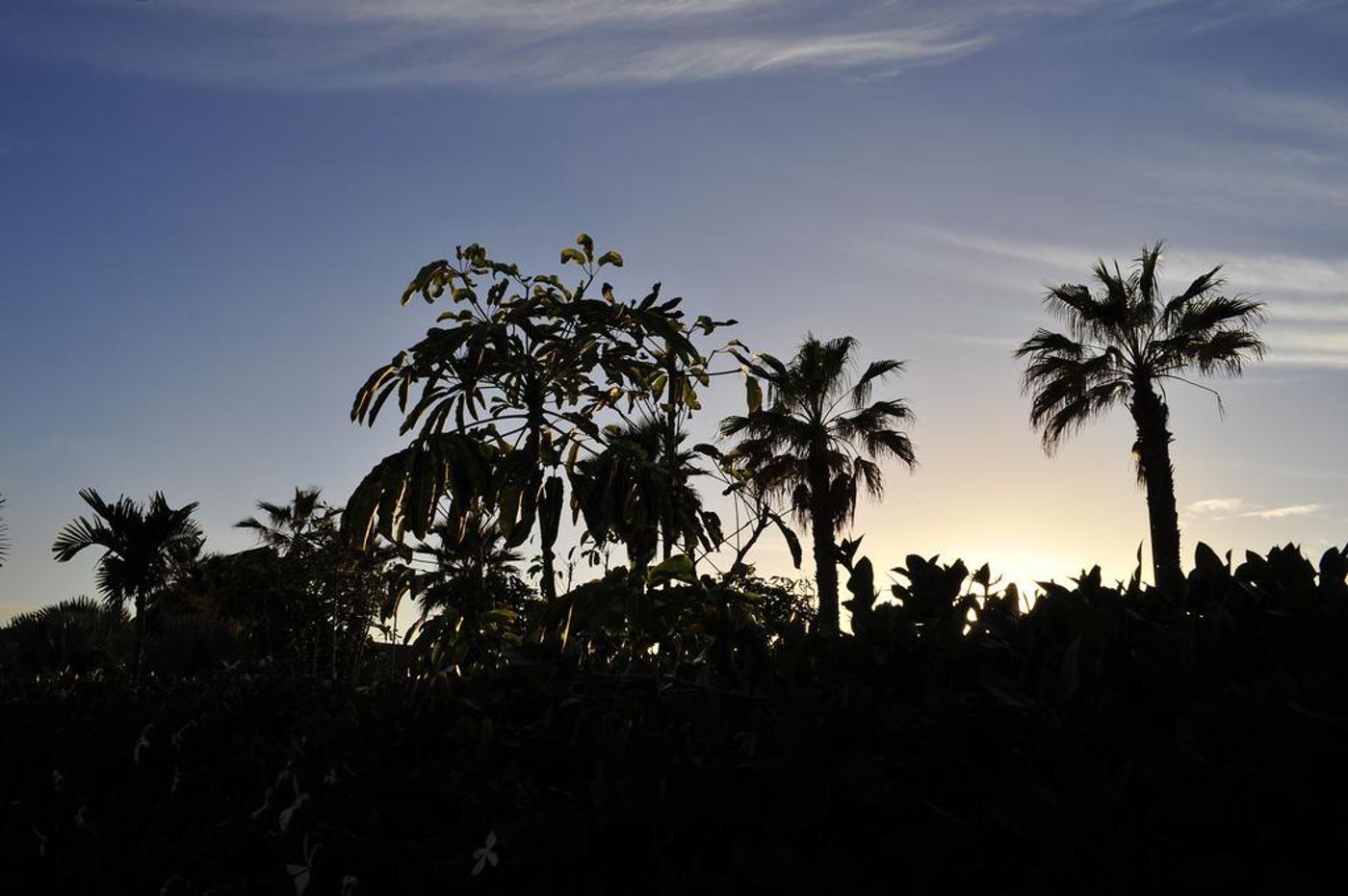 Rocamar-Apartamentos-General-view-18