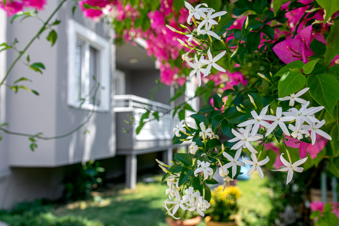 Club-Ako-Apart-General-view-15