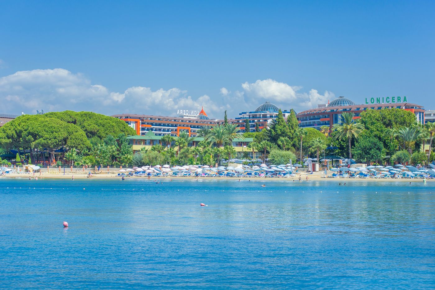 Lonicera--World-Beach-61