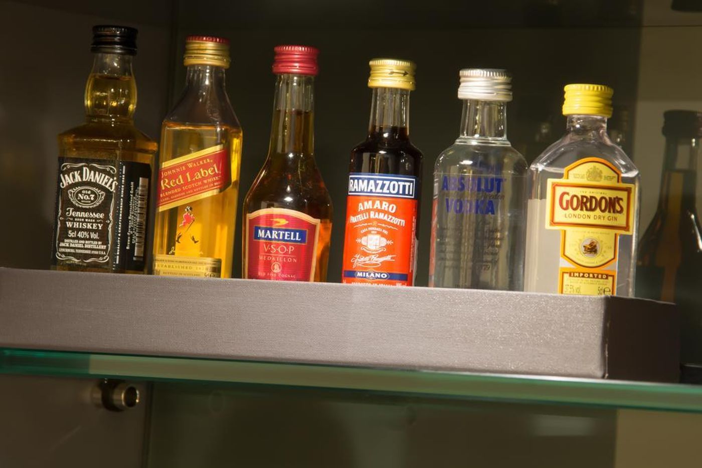 The Penz-Austria-Innsbruck-General view-6