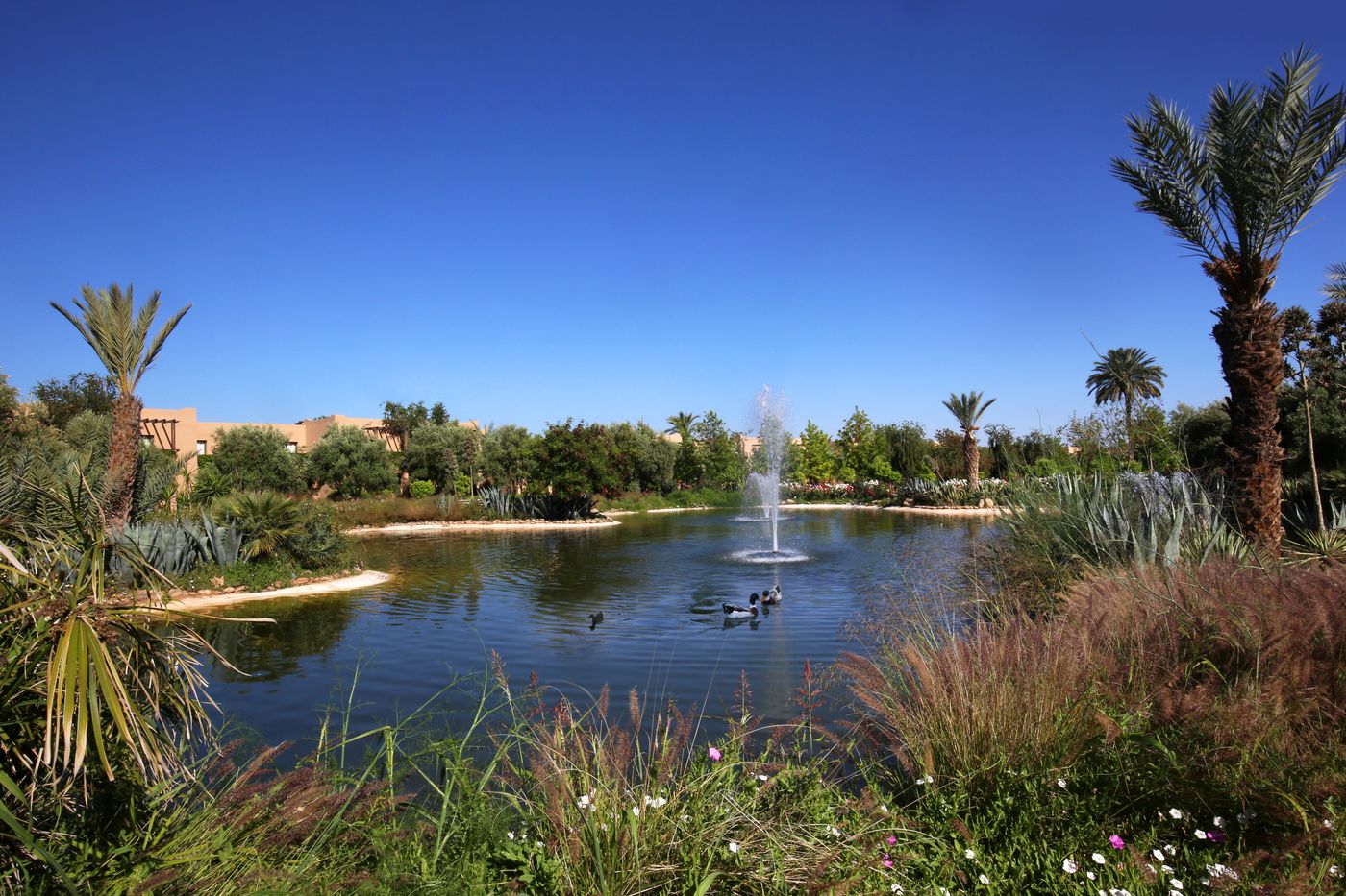 Valeria-Dar-Atlas-Resort-Terrace-8