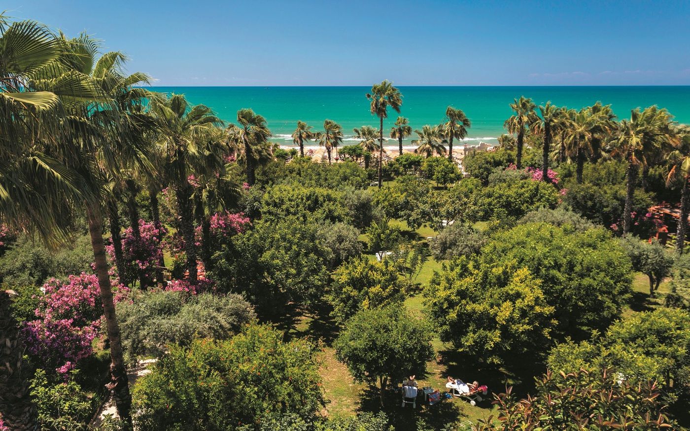 Defne-Ana--General-view-18