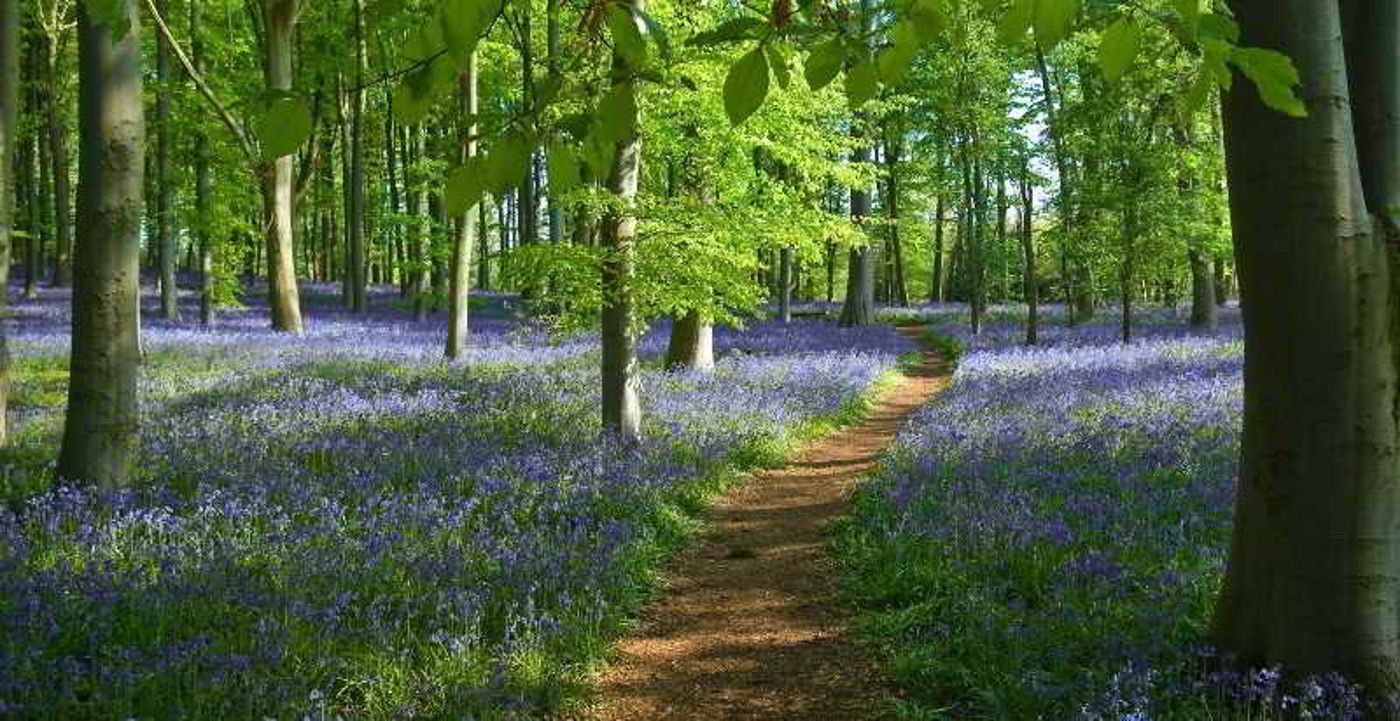 Arbutus Hotel-Ireland-Killarney Town-General view-4