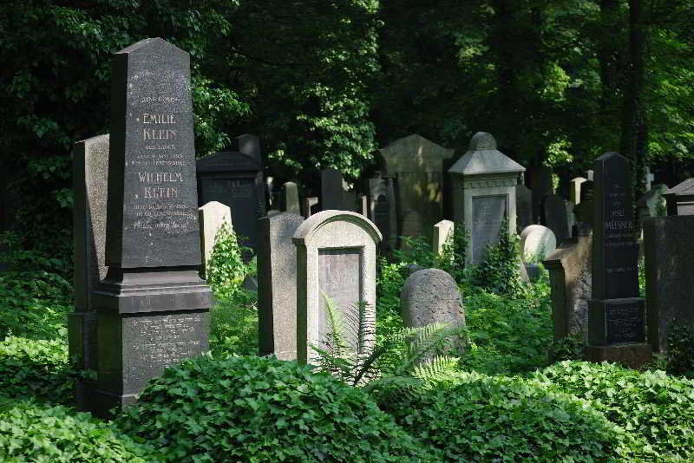 U-Tri-Bubnu-General-view-6