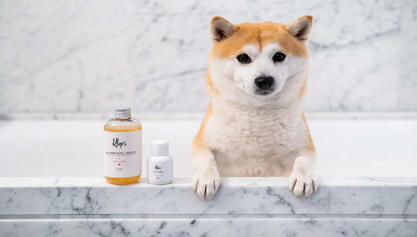 Kimpton-St-Honore-Paris-General-view-47