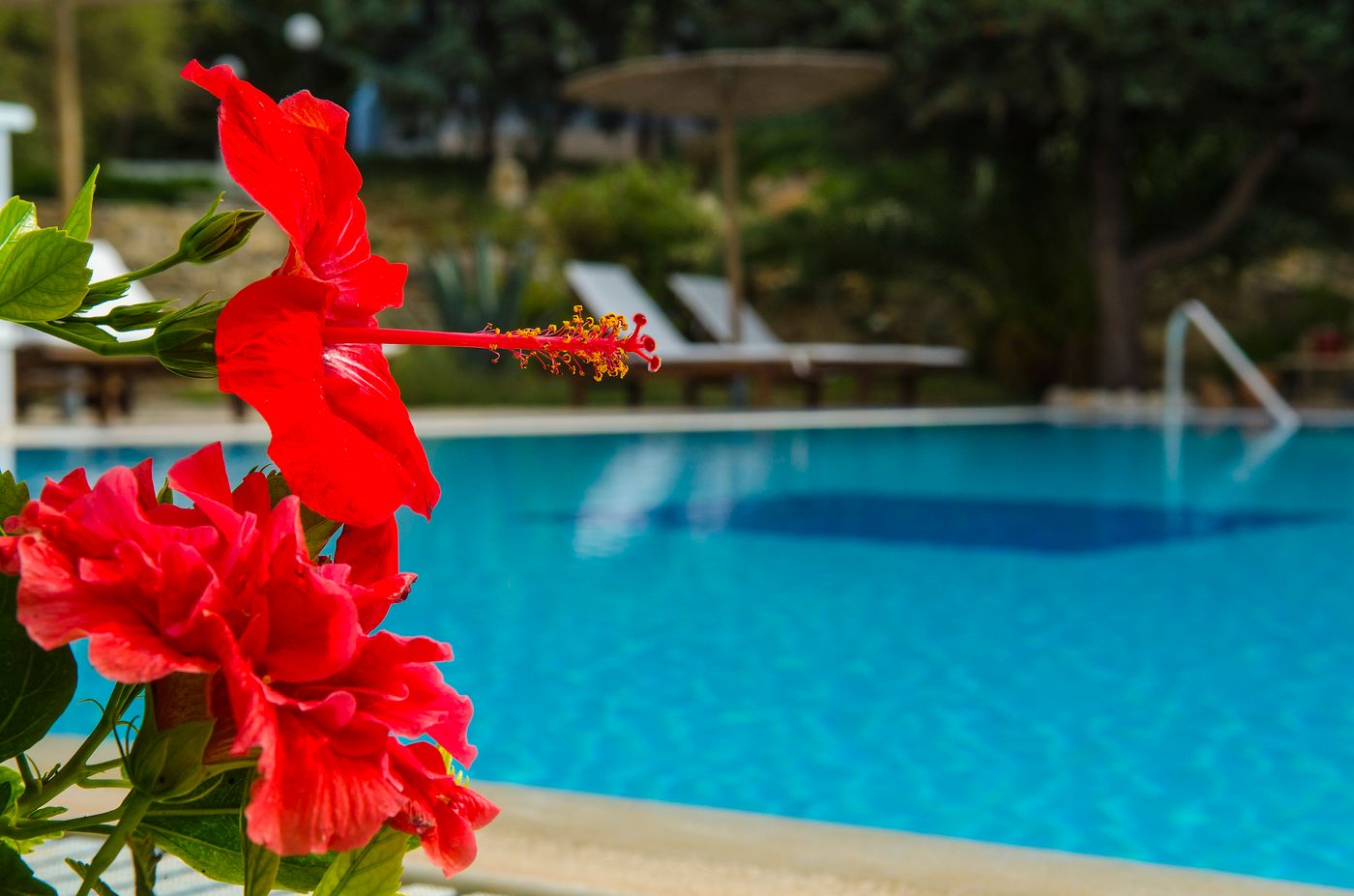 The-Small-Village-General-view-17