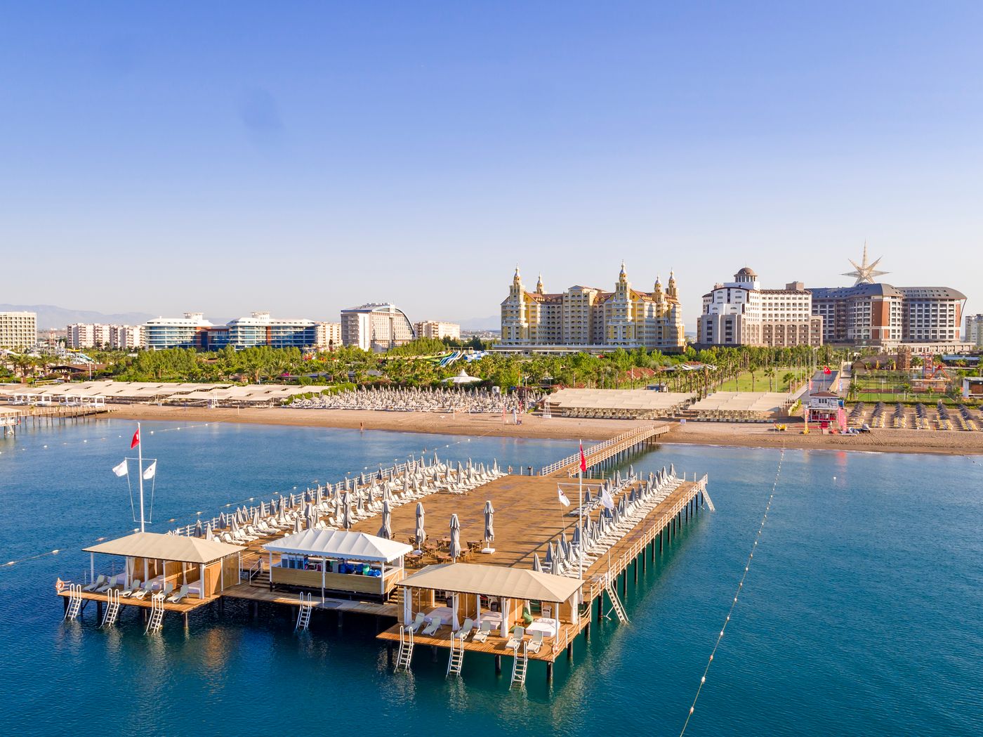 Royal Seginus (1).jpg