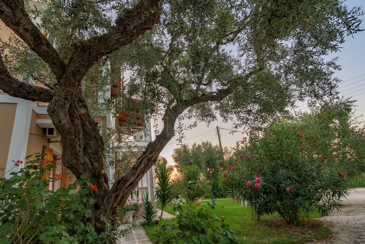 Pansion-Mary-General-view-5