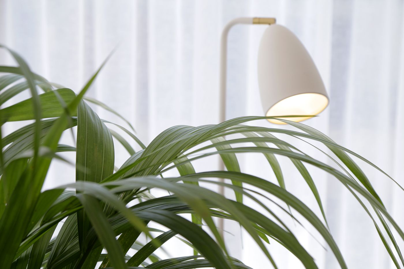 Lena-Mare-Boutique-Hotel-Lobby-77